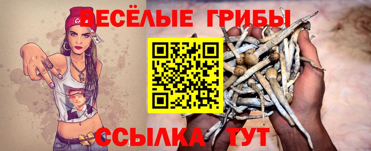 Псилоцибиновые грибы Cubensis  Вход с VPN  даркнет сайт  Кореновск 