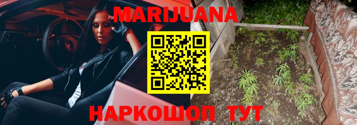 Канабис гибрид Кореновск